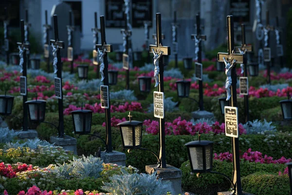 Grave crosses in a row in the cemetery Wels in the evening sun, Austria, Europe