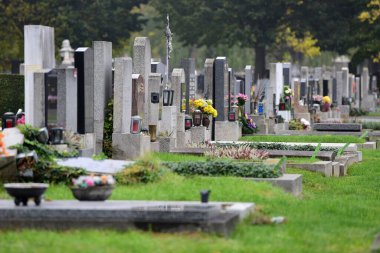 Viyana, Avusturya ve Avrupa 'daki Merkez Mezarlığı' ndan izlenim