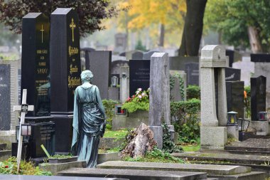 Viyana, Avusturya ve Avrupa 'daki Merkez Mezarlığı' ndan izlenim