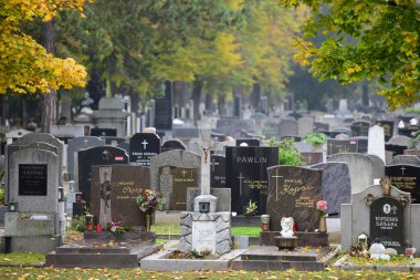 Viyana, Avusturya ve Avrupa 'daki Merkez Mezarlığı' ndan izlenim