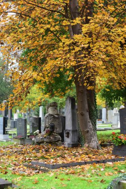 Viyana, Avusturya ve Avrupa 'daki Merkez Mezarlığı' ndan izlenim