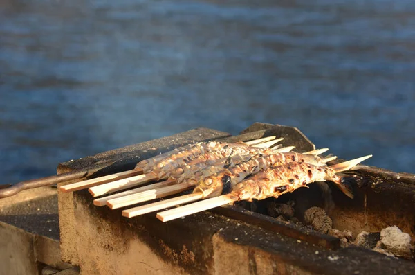 Salzkammergut, Avusturya ve Avrupa 'da ızgara balık spesiyali.