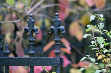 Viyana 'daki Sankt Marx mezarlığı 1874 yılında kapatıldı ve listelenmiş bir binadır.