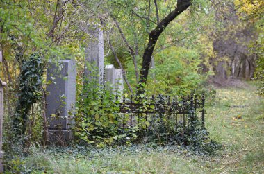 Viyana 'daki Sankt Marx mezarlığı 1874 yılında kapatıldı ve listelenmiş bir binadır.