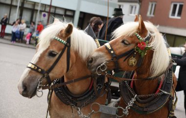 Georgi, Ampflwang (Voecklabruck İlçesi) - Georgiritt, çoğunlukla asırlık geleneklere dayanan Aziz George 'un anısına at ziyaretçilerinin adıdır..