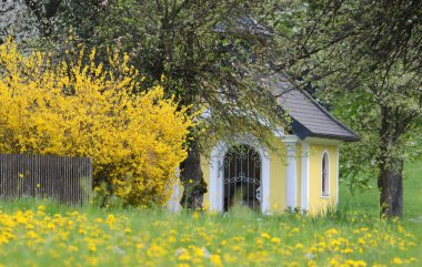 Gmunden, Avusturya, Avrupa 'da bir kilisenin önündeki çalılık.