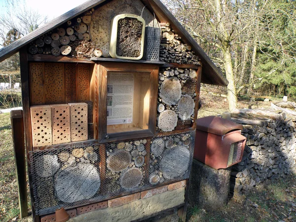 Beneficial insect hotel in Austria, Europe