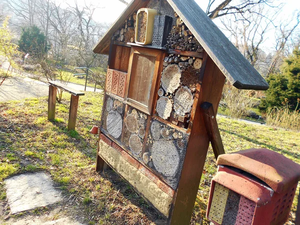 Beneficial insect hotel in Austria, Europe