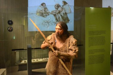 Neandertal Müzesi, Almanya 'nın Mettmann kenti yakınlarındaki Neandertal' de bulunan bir müzedir.