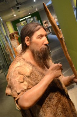 Neandertal Müzesi, Almanya 'nın Mettmann kenti yakınlarındaki Neandertal' de bulunan bir müzedir.