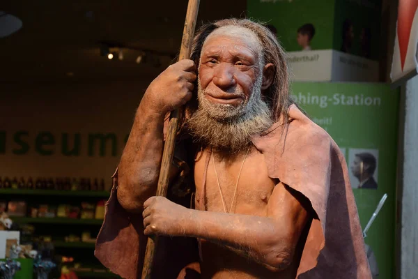 Neandertal Museum Est Musée Situé Dans Neandertal Près Mettmann Allemagne — Photo