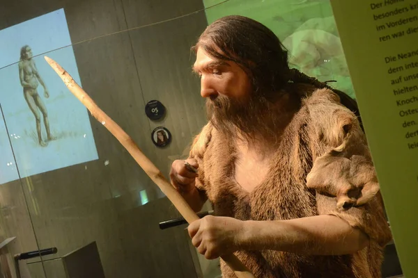 Музей Неандертальців Англ Neanderthal Museum Музей Неандерталі Поблизу Меттмана Німеччина — стокове фото
