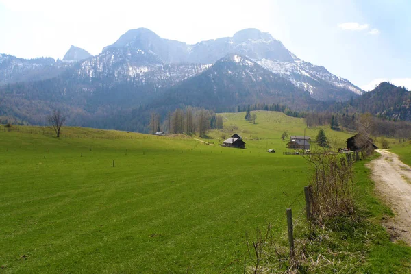 Eisenau Alm Sankt Gilgen Σάλτσμπουργκ Αυστρία Ευρώπη — Φωτογραφία Αρχείου