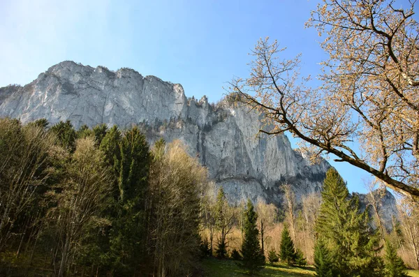 Drachenwand Sankt Lorenz Cerca Mondsee Alta Austria Salzburgo Austria Europa —  Fotos de Stock