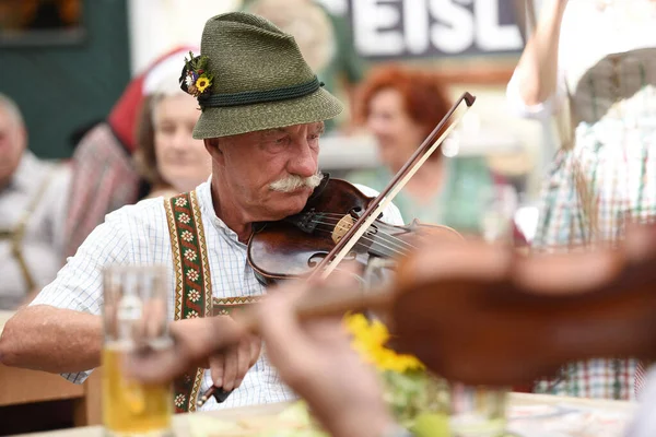 Violin Day Bad Goisern Meeting Violin Players Other Folk Musicians — Stock Photo, Image