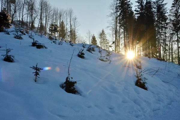 Solnedgång Vintern Gruenberg Österrike Europa — Stockfoto