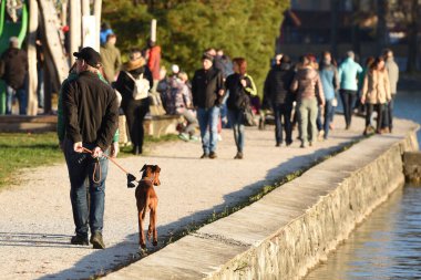 Attersee 'de sonbahar havası var, birçoğu güneşli havada dinlenmek istiyor.