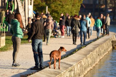 Attersee 'de sonbahar havası var, birçoğu güneşli havada dinlenmek istiyor.