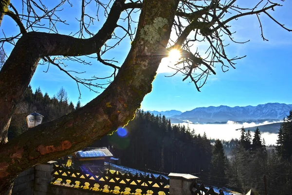 Montanha Hongar Outono Nevoeiro Voecklabruck Áustria Europa — Fotografia de Stock