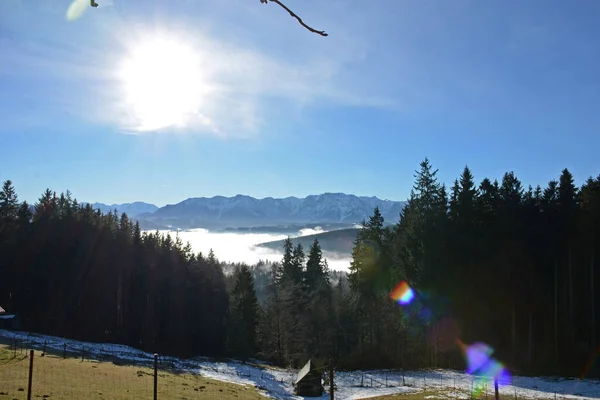 Montaña Hongar Otoño Niebla Voecklabruck Austria Europa — Foto de Stock