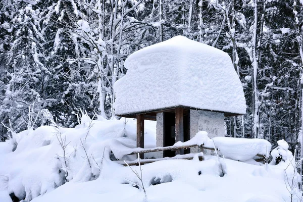 Verschneite Kapelle Bei Bad Ischl Winter Österreich Europa — Stockfoto
