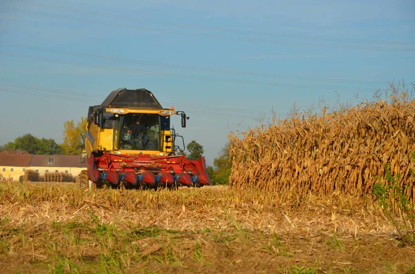 Combine harvester harvesting corn in Austria in autumn