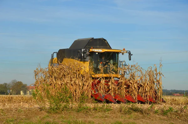 Combine harvester harvesting corn in Austria in autumn