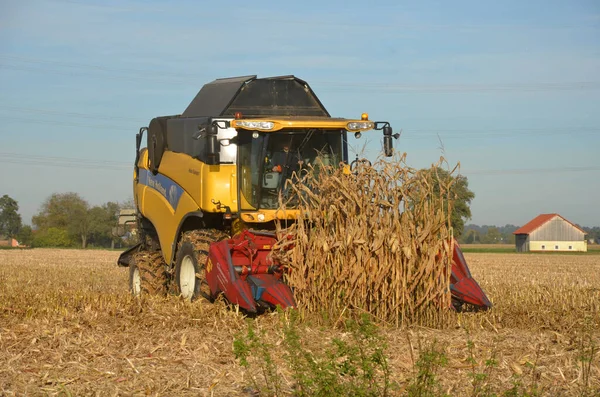 Combine harvester harvesting corn in Austria in autumn