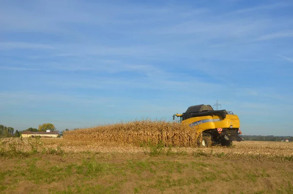 Combine harvester harvesting corn in Austria in autumn