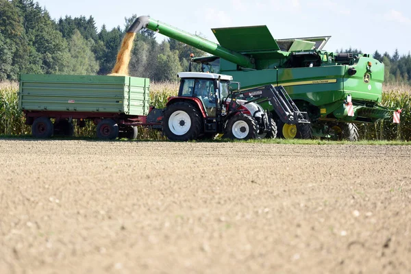 Combine Harvester Harvesting Corn Austria Autumn — Stock Photo, Image