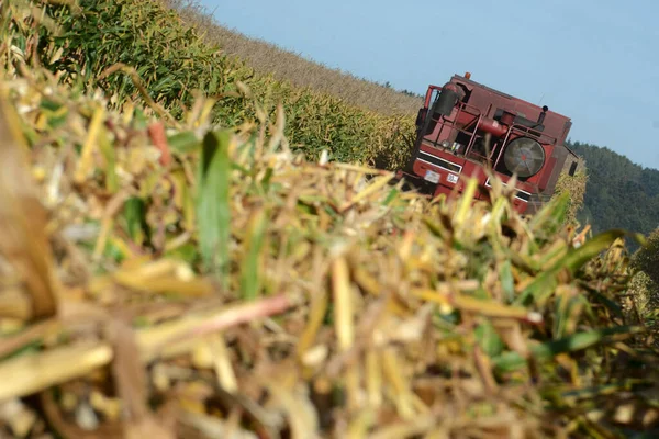 Combine harvester harvesting corn in Austria in autumn