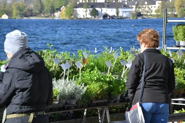 Tygodniowy Rynek Ekologiczny Gmunden Traunsee Austria Europa — Zdjęcie stockowe