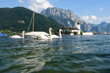 Gmunden 'deki Ort am Traunsee göl kalesi, Avusturya, Avrupa