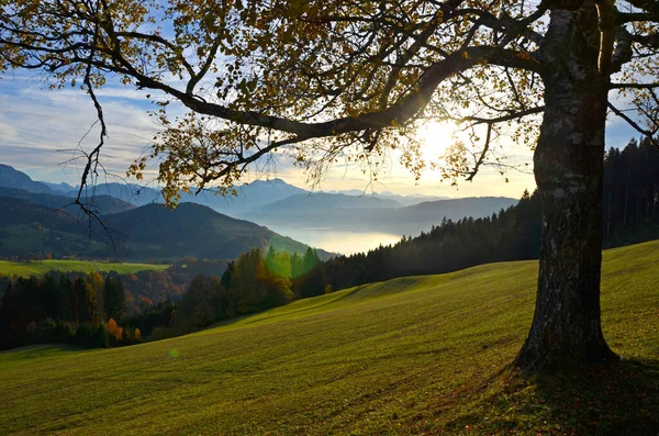 Humor Outono Pôr Sol Gahberg Attersee Áustria Europa — Fotografia de Stock