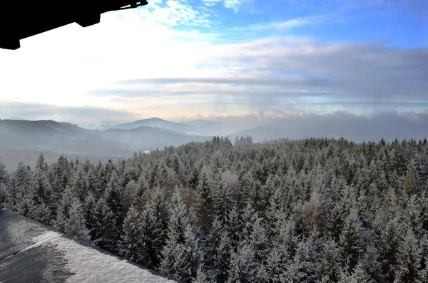 Uma Floresta Abeto Inverno Cima Áustria Europa — Fotografia de Stock