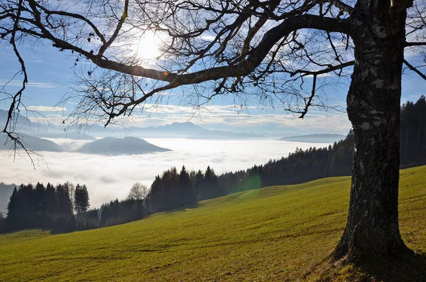 Mar Nevoeiro Gahberg Attersee Áustria Europa — Fotografia de Stock