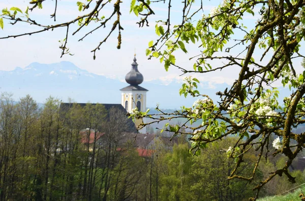 Farní Kostel Ottnang Hausruck Jaře Rakousko Evropa — Stock fotografie