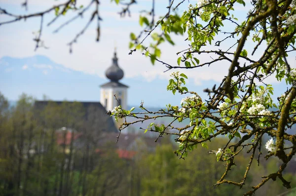 Iglesia Parroquial Ottnang Hausruck Primavera Austria Europa — Foto de Stock