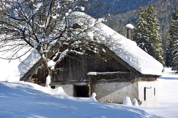 Rettenbachalm Bei Bad Ischl Winter Österreich Europa — Stockfoto