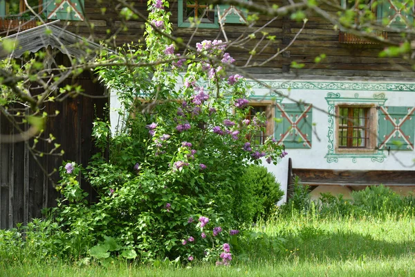 Open Air Museum Old Farmhouses Buildings Grossgmain Salzburg Austria Europe — Stock Photo, Image