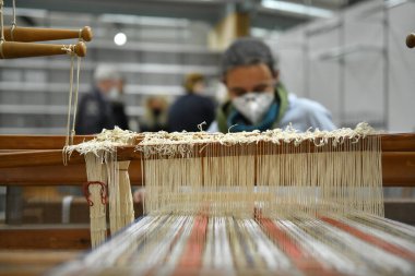 Haslach Dokuma Müzesi, Mhlviertel, Avusturya, Avrupa