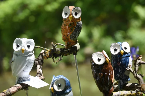 Garden Exhibition Gartenlust Bernau Castle Fischlham Wels Land District Upper — Stock Photo, Image