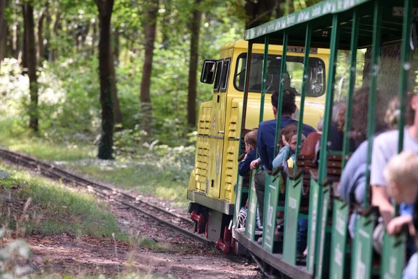 Liliput Train Wiener Prater Viena Austria Europa — Foto de Stock