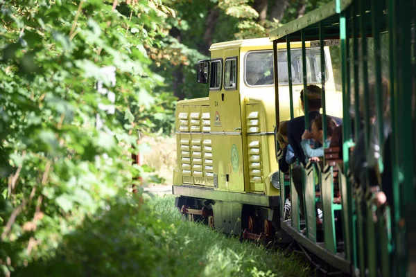 Liliput Train Wiener Prater Viena Austria Europa — Foto de Stock