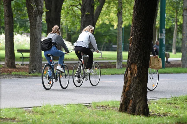 Cyclist Prater Hauptallee Vienna Austria Europe Royalty Free Stock Photos