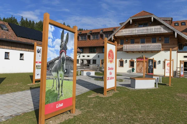 Dierenboerderij Gut Aiderbichl Salzburg Oostenrijk Europa — Stockfoto