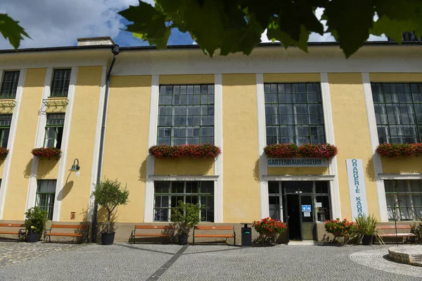 カラン ウィーン オーストリア ヨーロッパのオレンジと学校の庭 — ストック写真