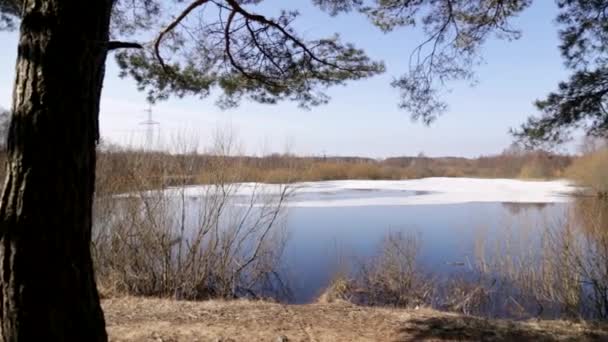 Piękny widok na jezioro wiosna z lodem ze względu na drzewa — Wideo stockowe