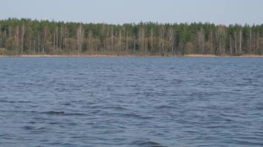 Ormanın yakınındaki göletin güzel manzarası, güçlü rüzgar ve dalgalar.
