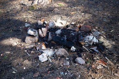 Ormandaki sönmüş ateş taşların arasında